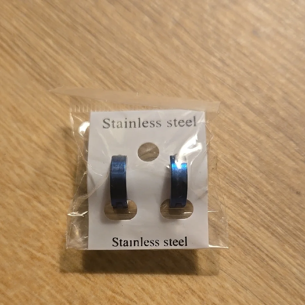 Stainless Steel Blue Earrings